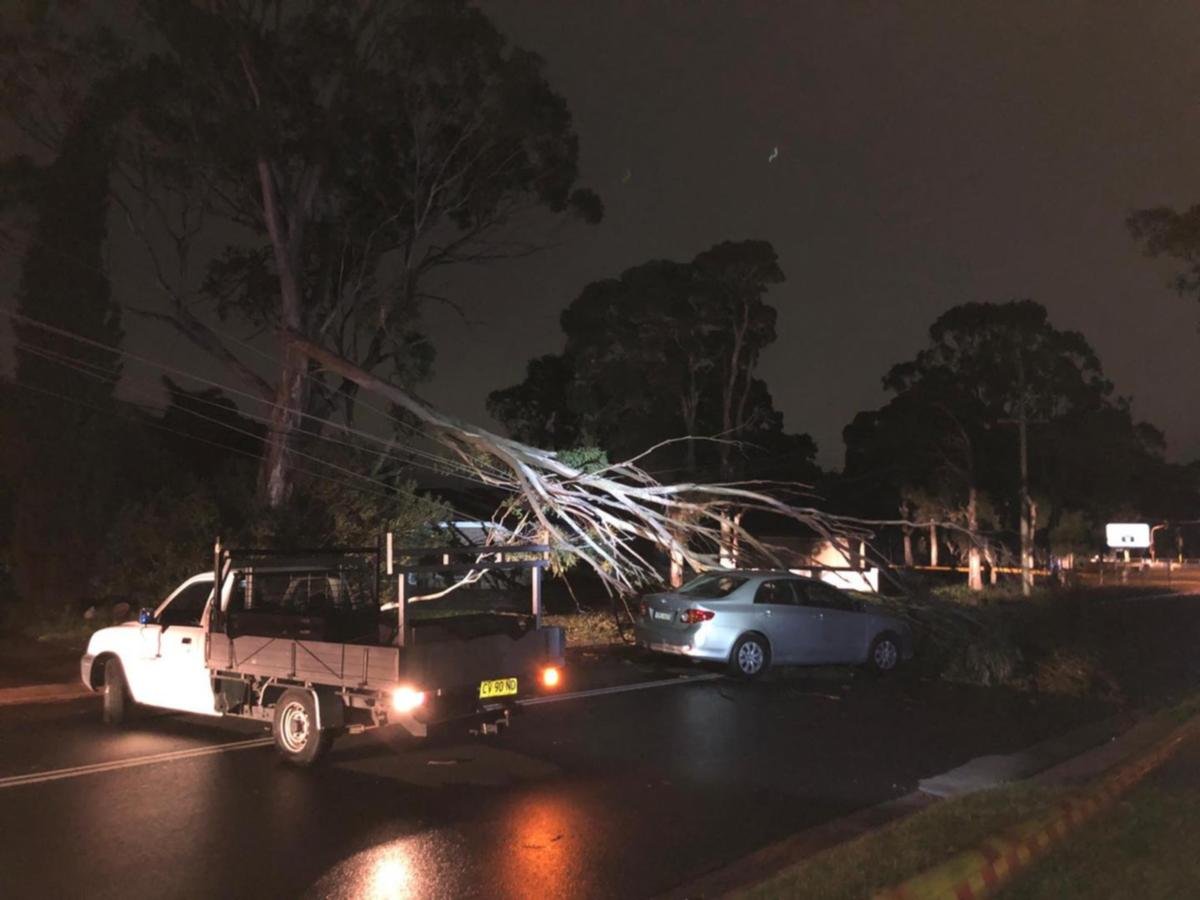 Wild winds caused blackout homes and delayed flights in Sydney