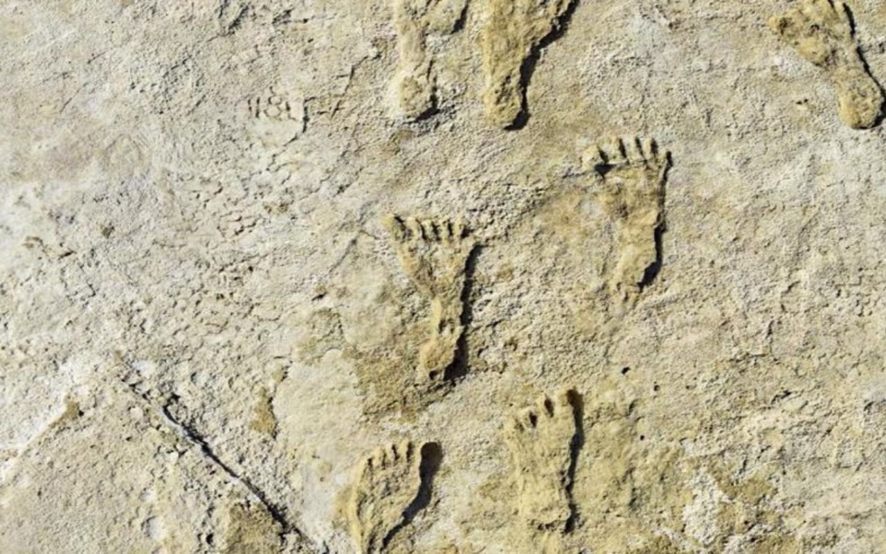 New tests confirm the ancient human footprints in New Mexico