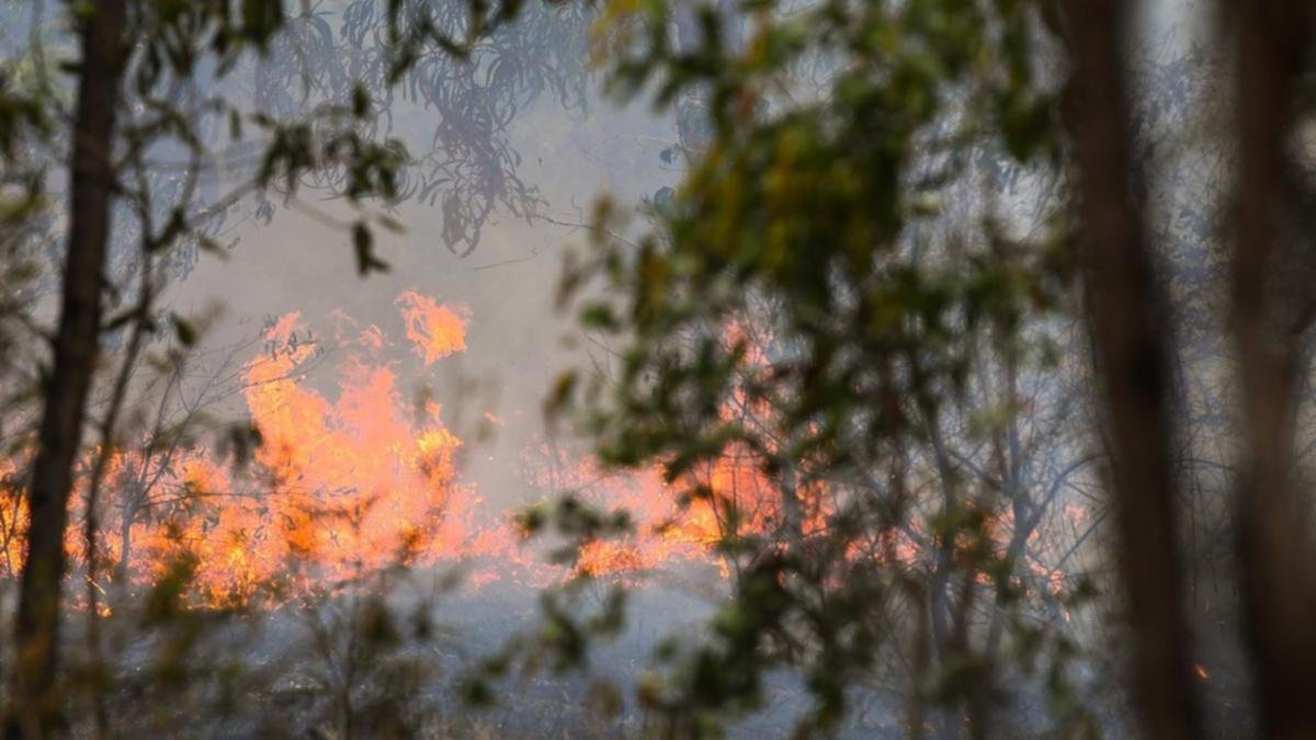 Deepwater bushfire destroys home in Queensland