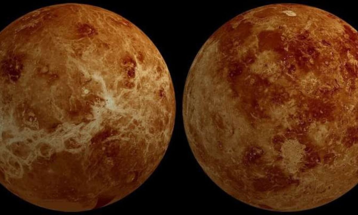 Life may exist in sulfuric acid clouds of Venus