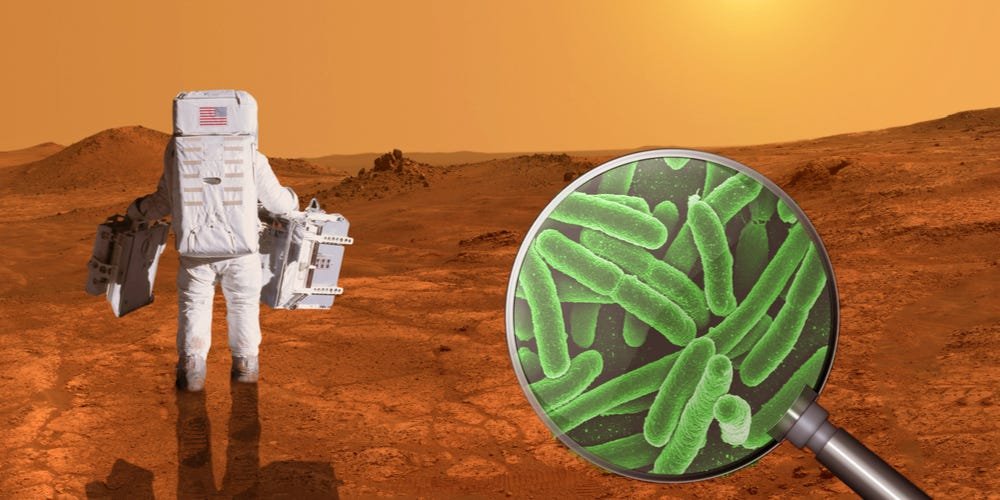 Bacteria that can make humans sick