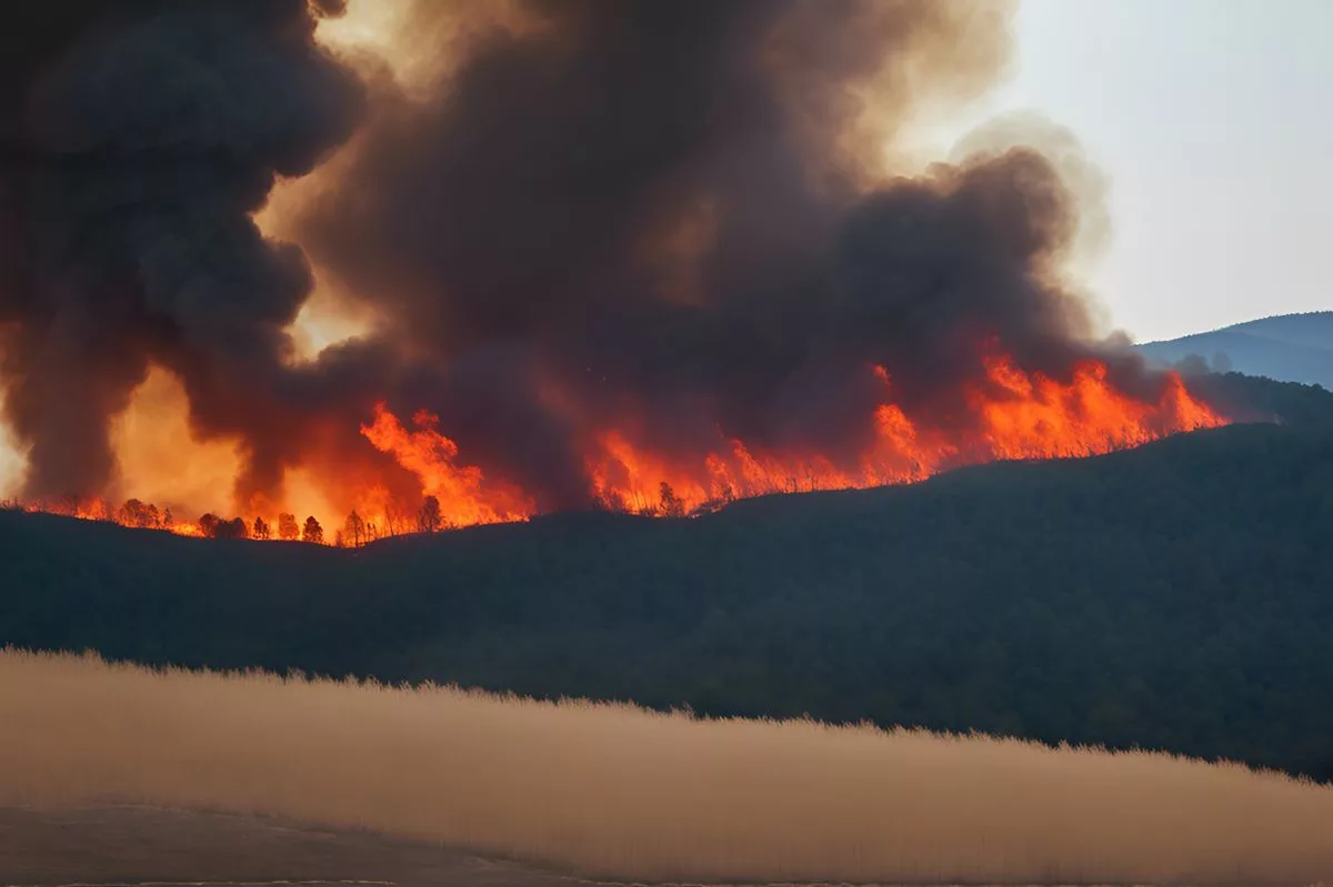 Massive Cape Winelands wildfire