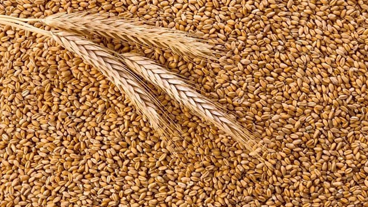 Pakistan decided to ban wheat imports