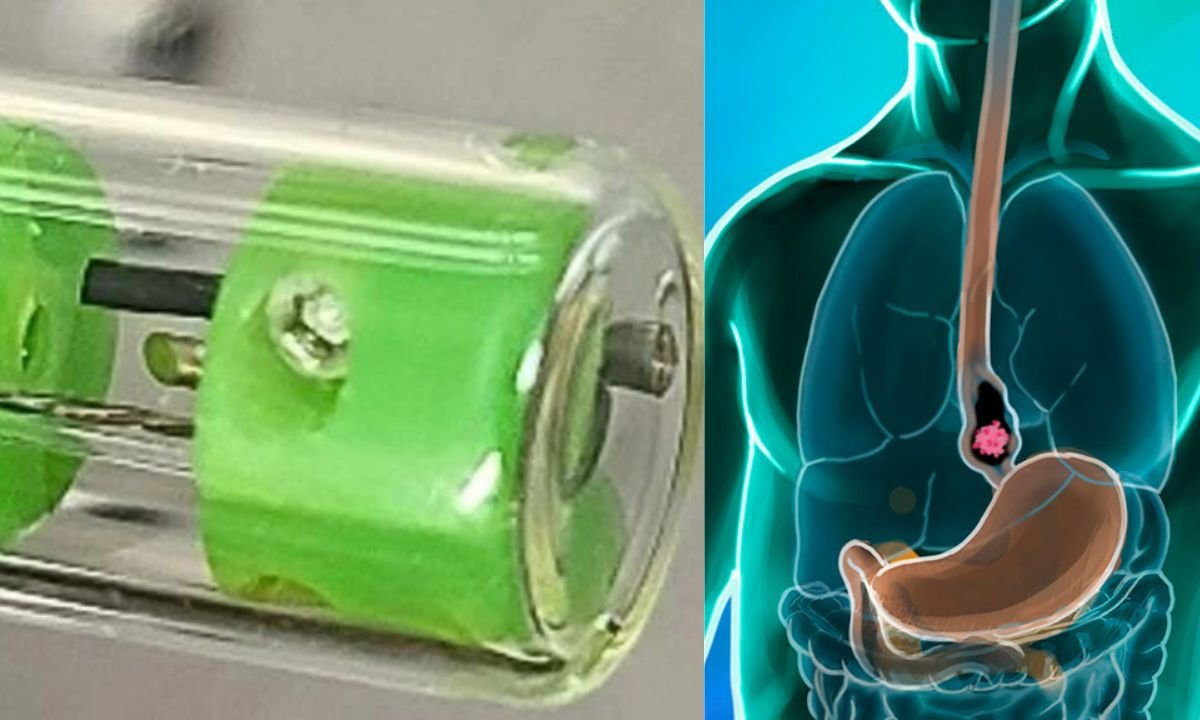 Researchers developed MAGIC capsule
